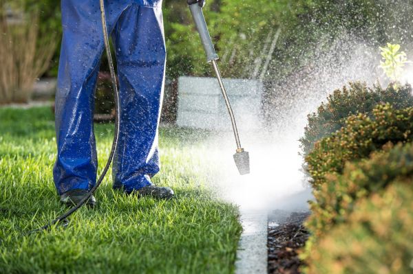 Curb Cleaning in Waukesha