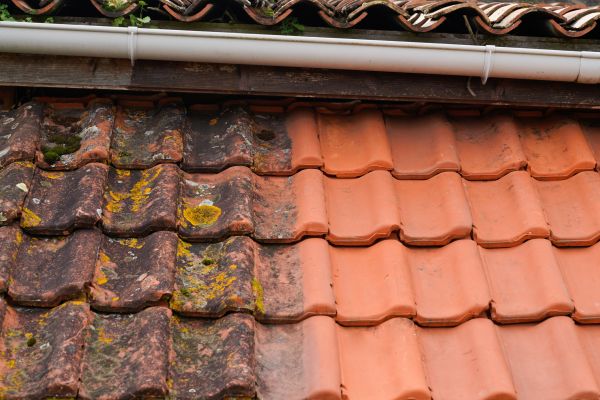 Industrial Roof Cleaning in Waukesha